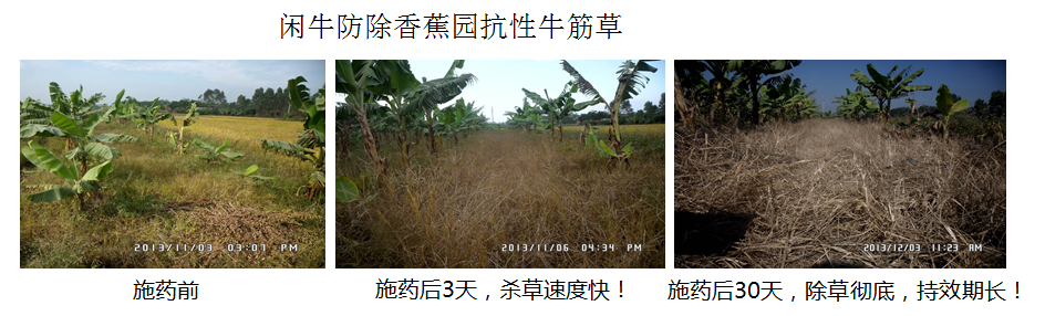 9a37f47c095aa90acec231af2ce9980d.png